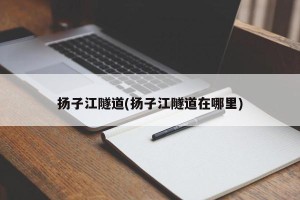 扬子江隧道(扬子江隧道在哪里)