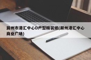 滁州市港汇中心D户型精装修(滁州港汇中心商业广场)