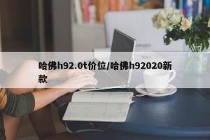 哈佛h92.0t价位/哈佛h92020新款