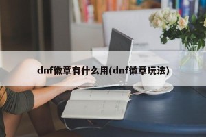 dnf徽章有什么用(dnf徽章玩法)