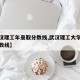 【武汉理工年录取分数线,武汉理工大学年录取分数线】